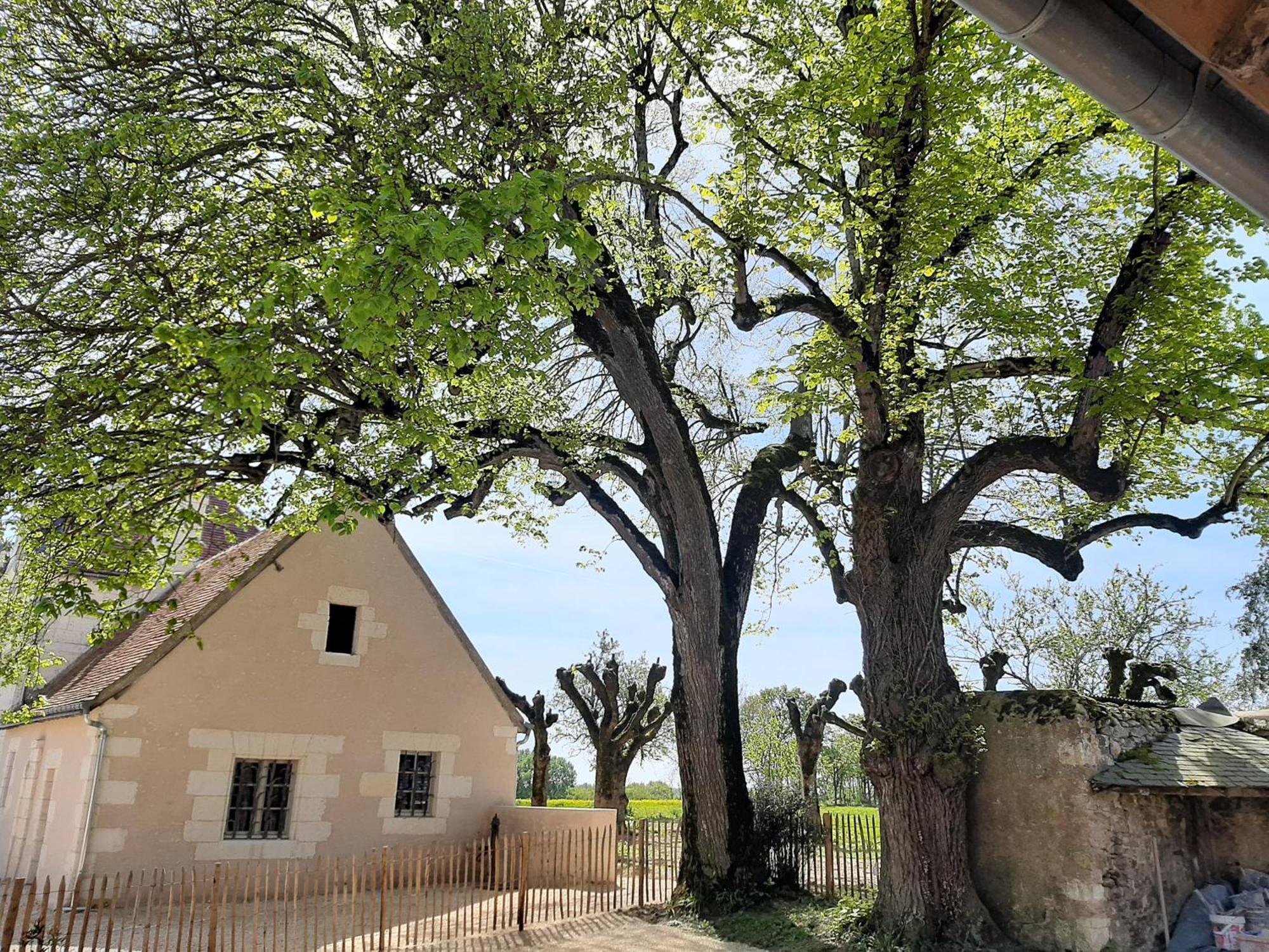 Le Puits Renaissance - Gites De Caractere Et Piscine Chauffee Chambourg-sur-Indre Exteriér fotografie